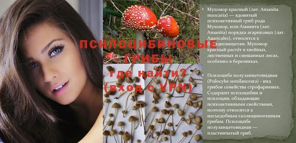 каннабис Гусев