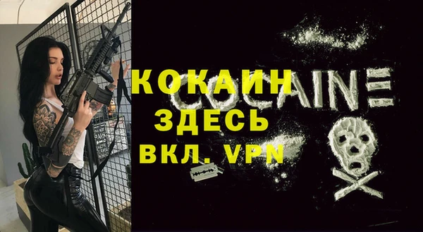 mix Вяземский