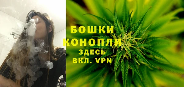 mix Вяземский